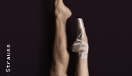 Ballett-Gala