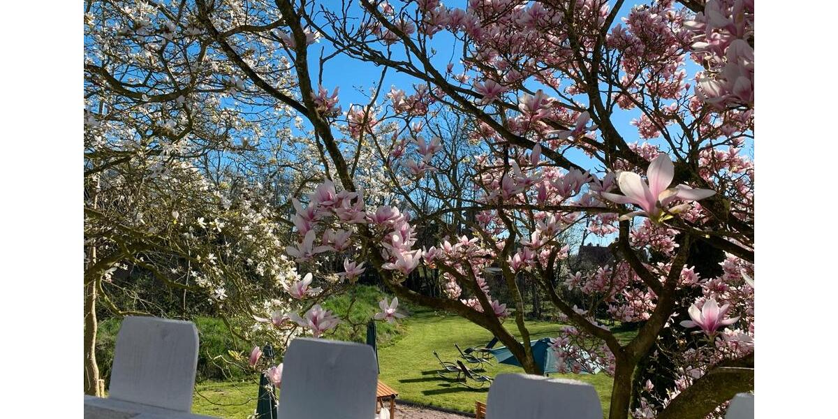 Hochparterre Butjadingen - 1 Zimmer, 35 m&sup2;, 780&euro; | Angebot:24660297
