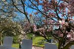 Hochparterre Butjadingen - 1 Zimmer, 35 m&sup2;, 780&euro; | Angebot:24660297
